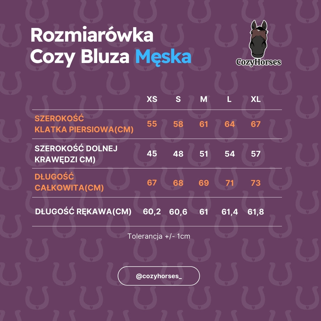 Bluza Męska
