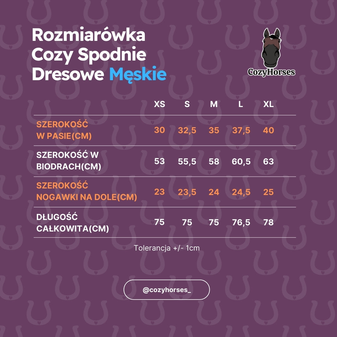 Spodnie Dresowe Męskie